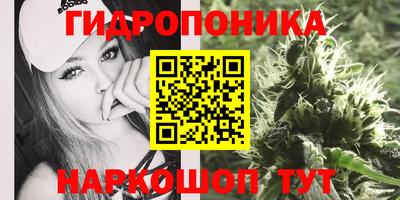 apvp Дубна