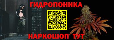 apvp Дубна