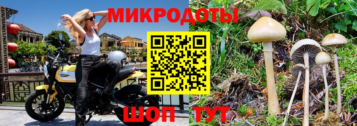 Ялуторовск  Псилоцибиновые грибы Magic Shrooms  Галлюциногенные грибы ЛСД  Вход с VPN 